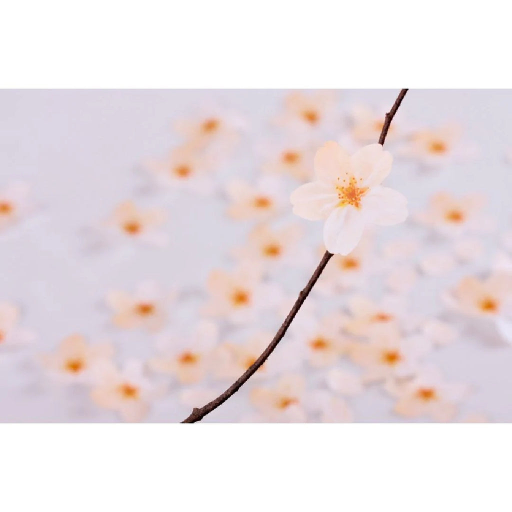 Sticky Leaf - Cherry Blossom | Small | Paper & Cards Studio